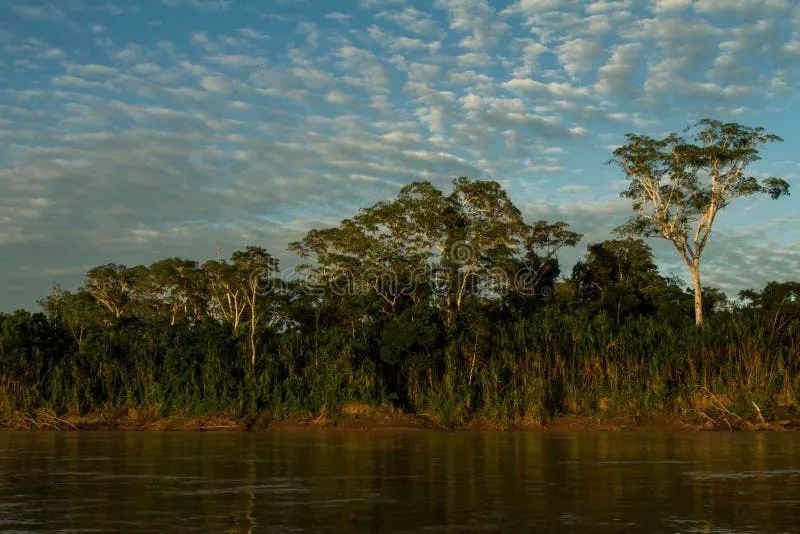 Parque Nacional del Manu